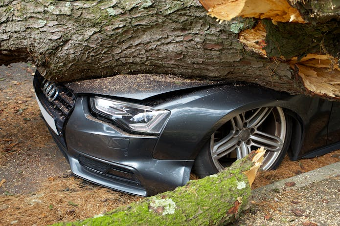 A car trapped beneath a fallen tree, possibly due to an accident. Seek legal assistance from Accident Attorney Jacksonville FL.